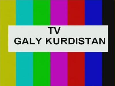 TV Galy